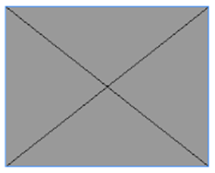 간단 표시 — 회색 박스
